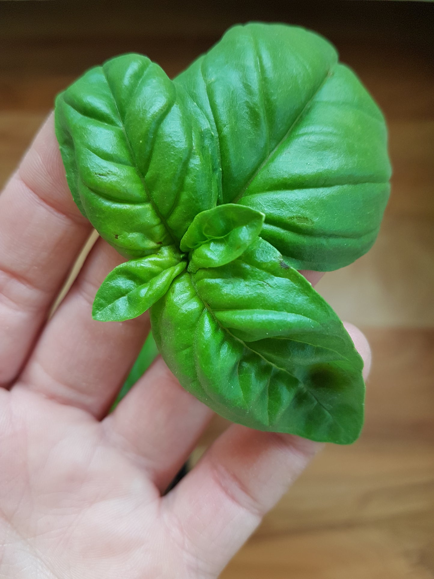 Basil and Pepper Gardeners Soap