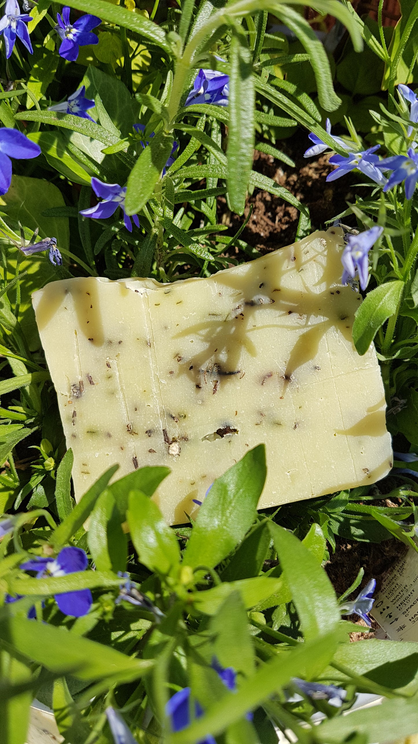Basil and Pepper Gardeners Soap