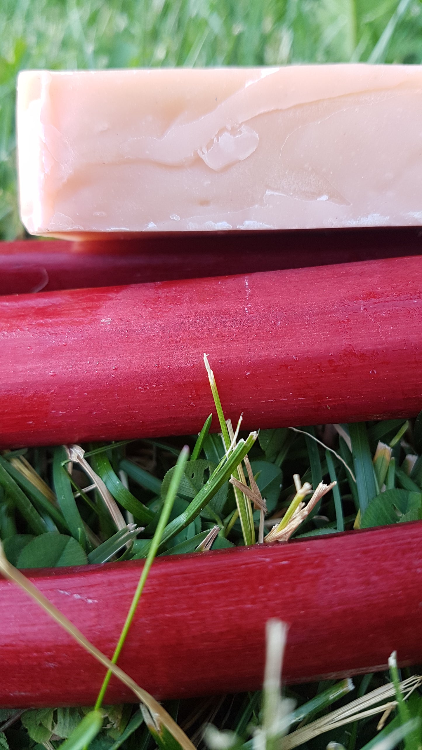 RHUBARB Soap