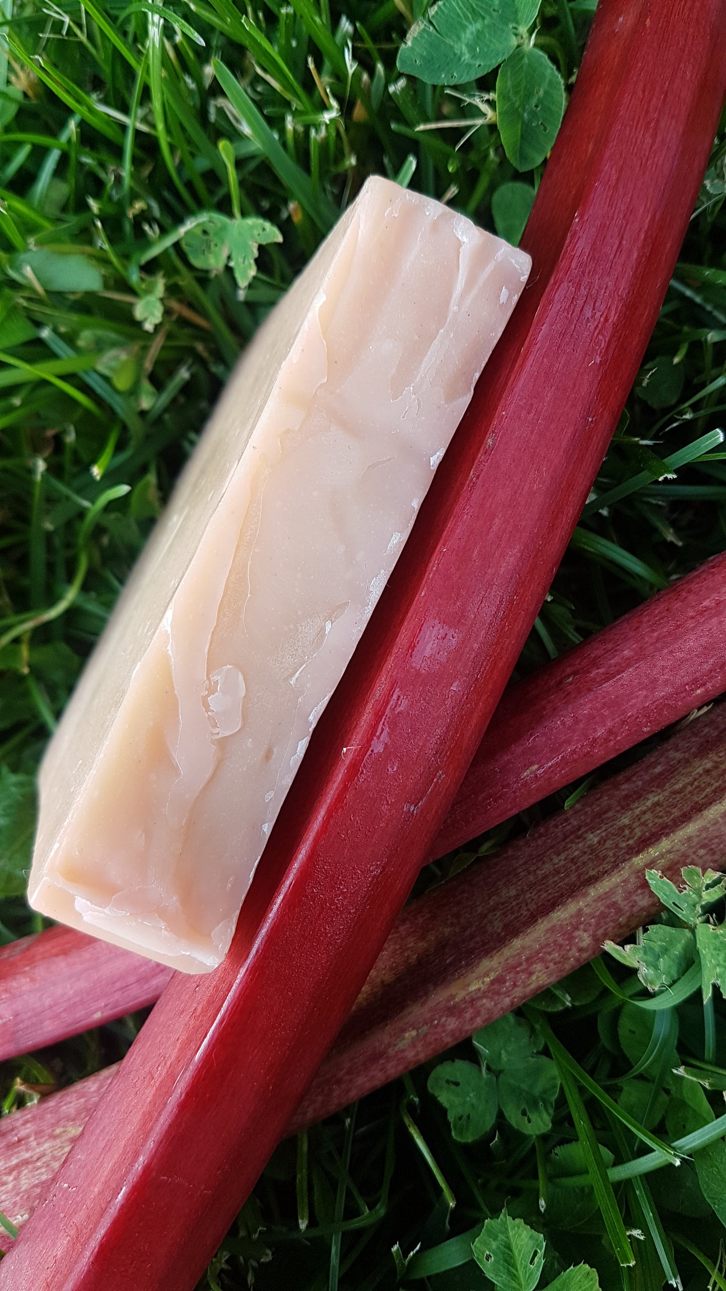 RHUBARB Soap