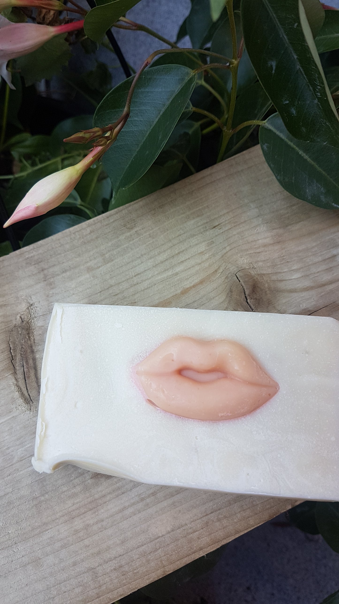 Rhubarb Kisses Soap