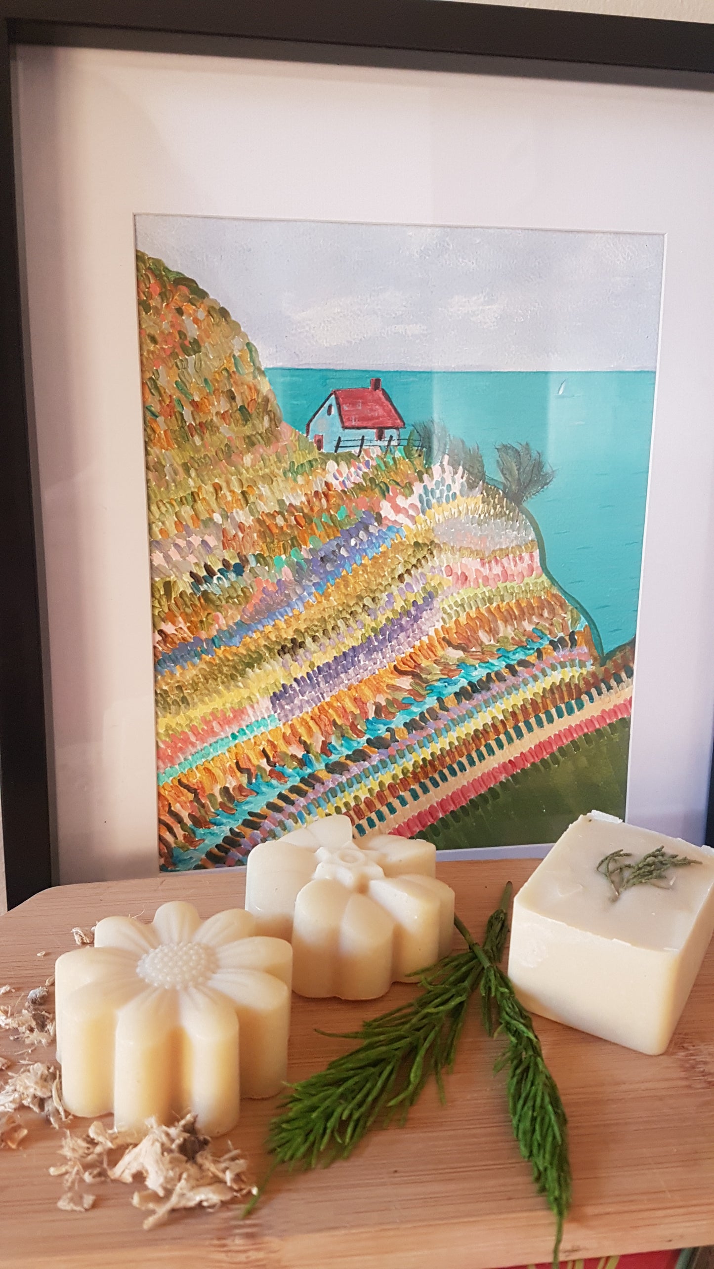 Shampoo Bars