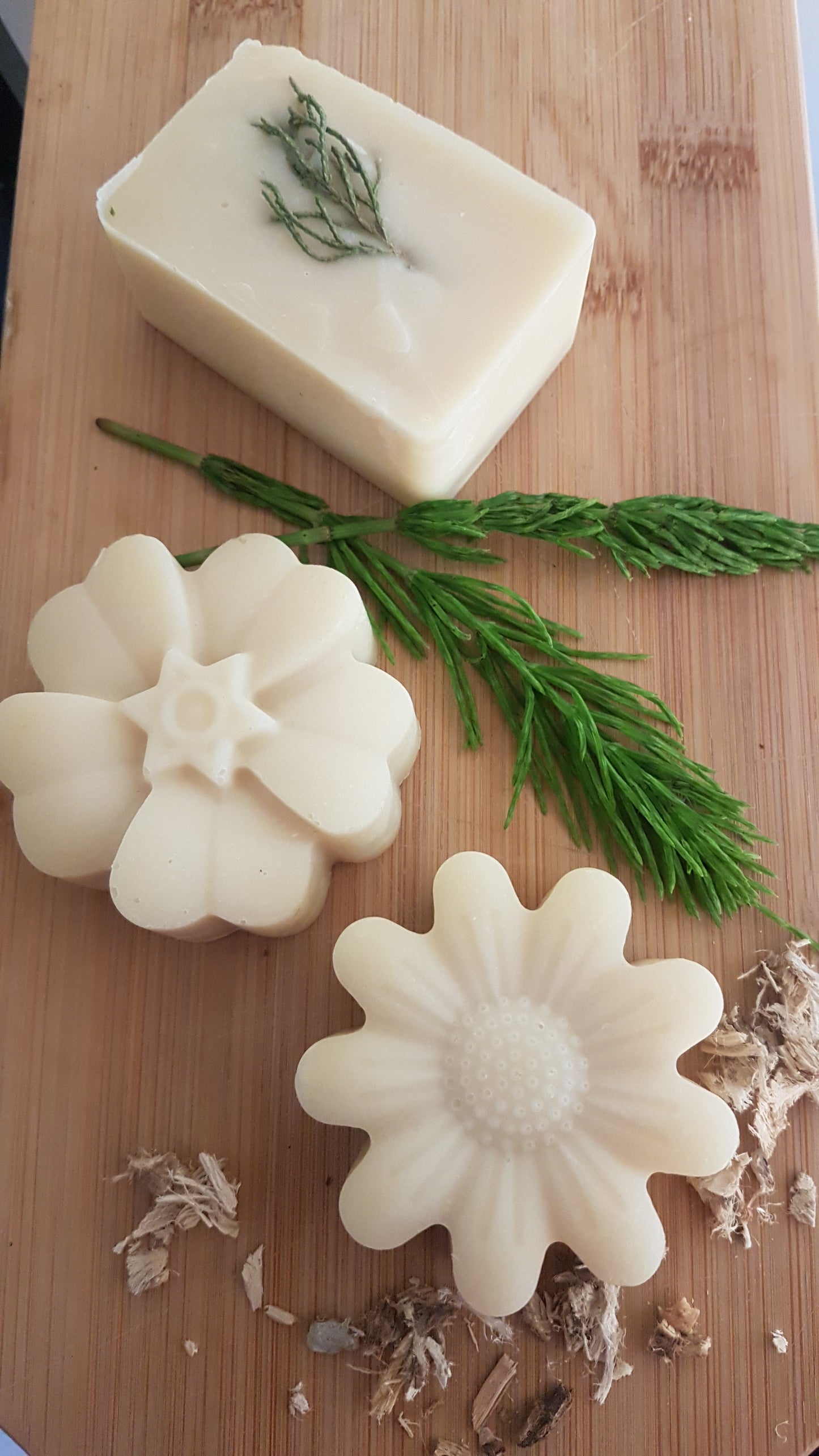 Shampoo Bars