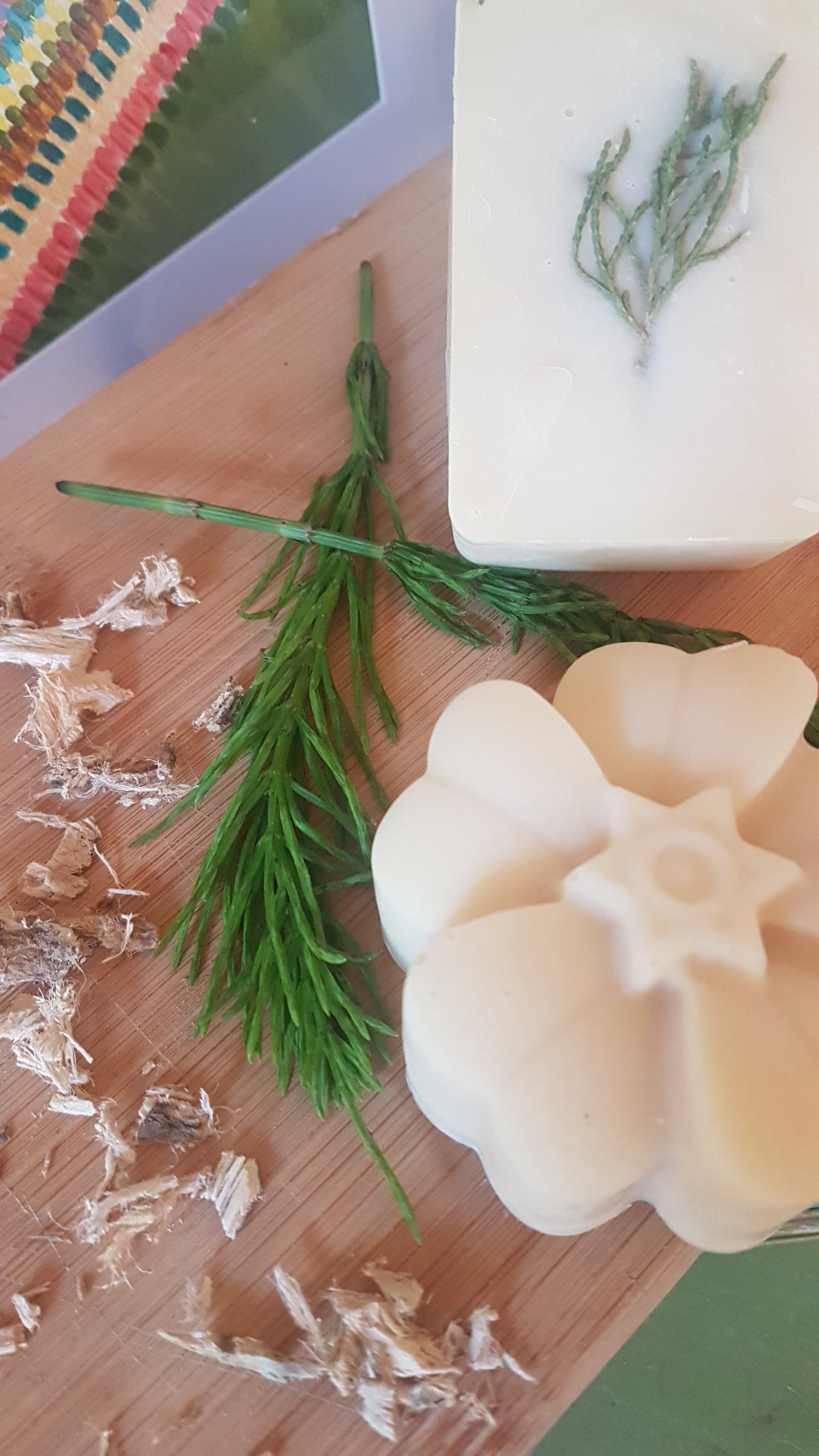 Shampoo Bars