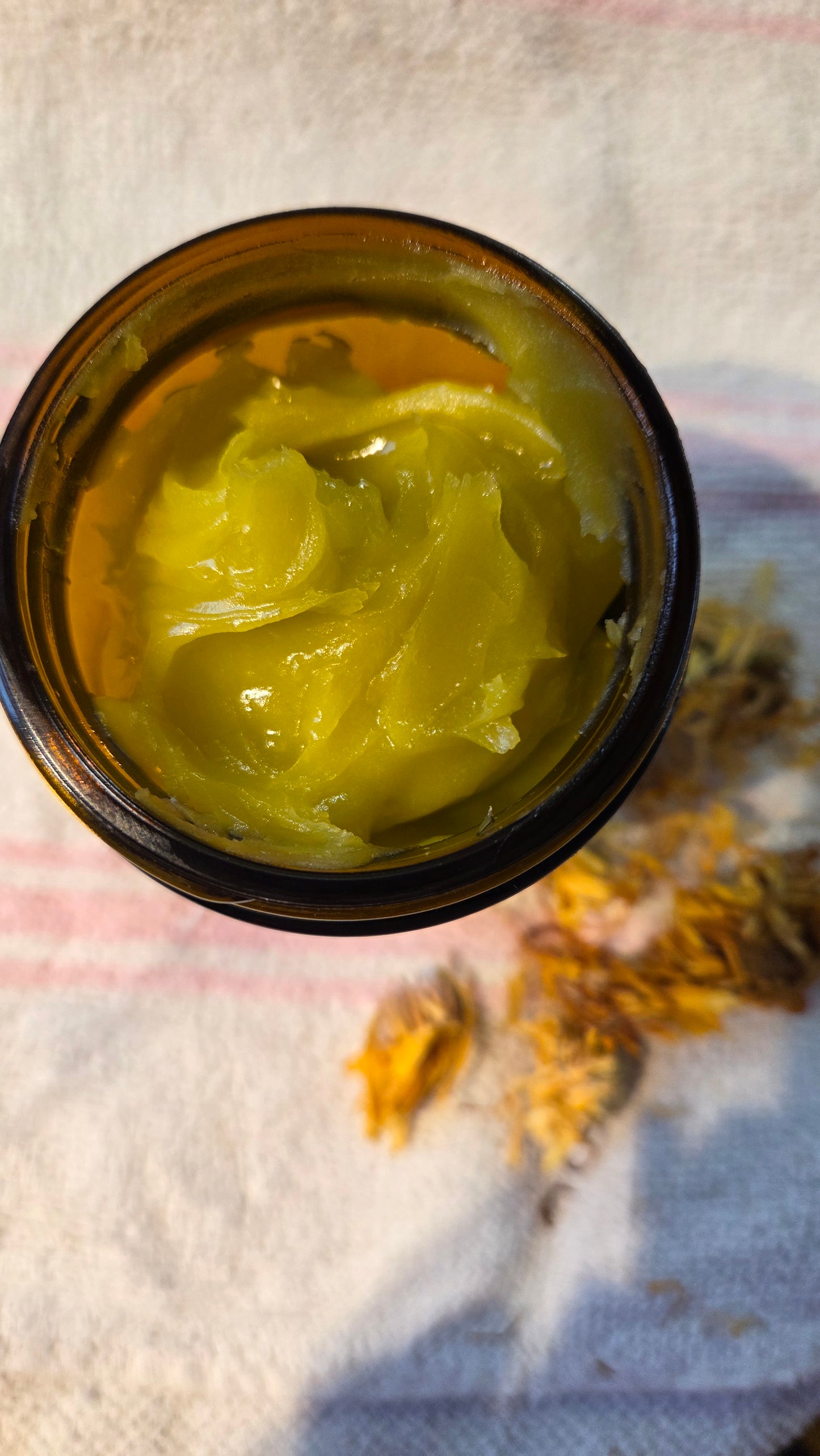 Calendula Salve - 6 oz. jar