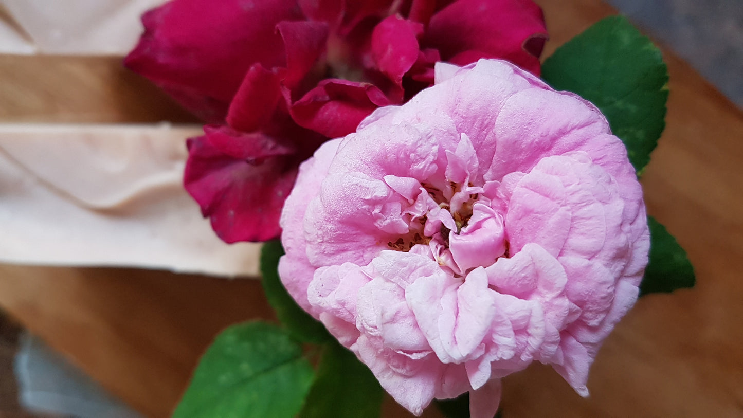 Rose Soap