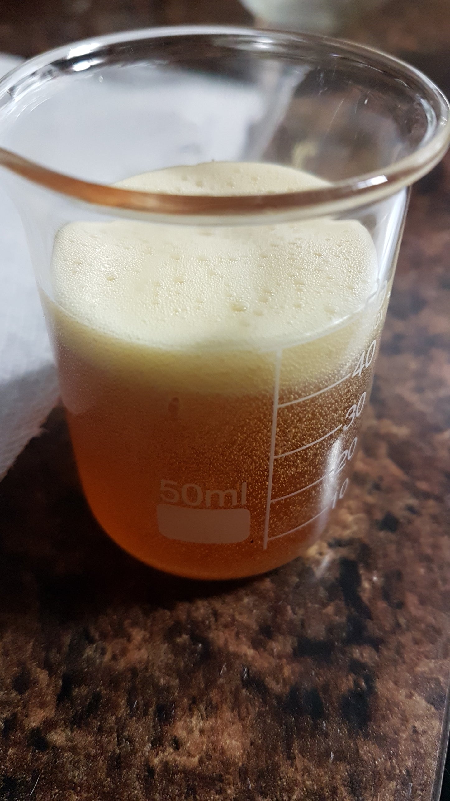 Maple Syrup Lip Balm