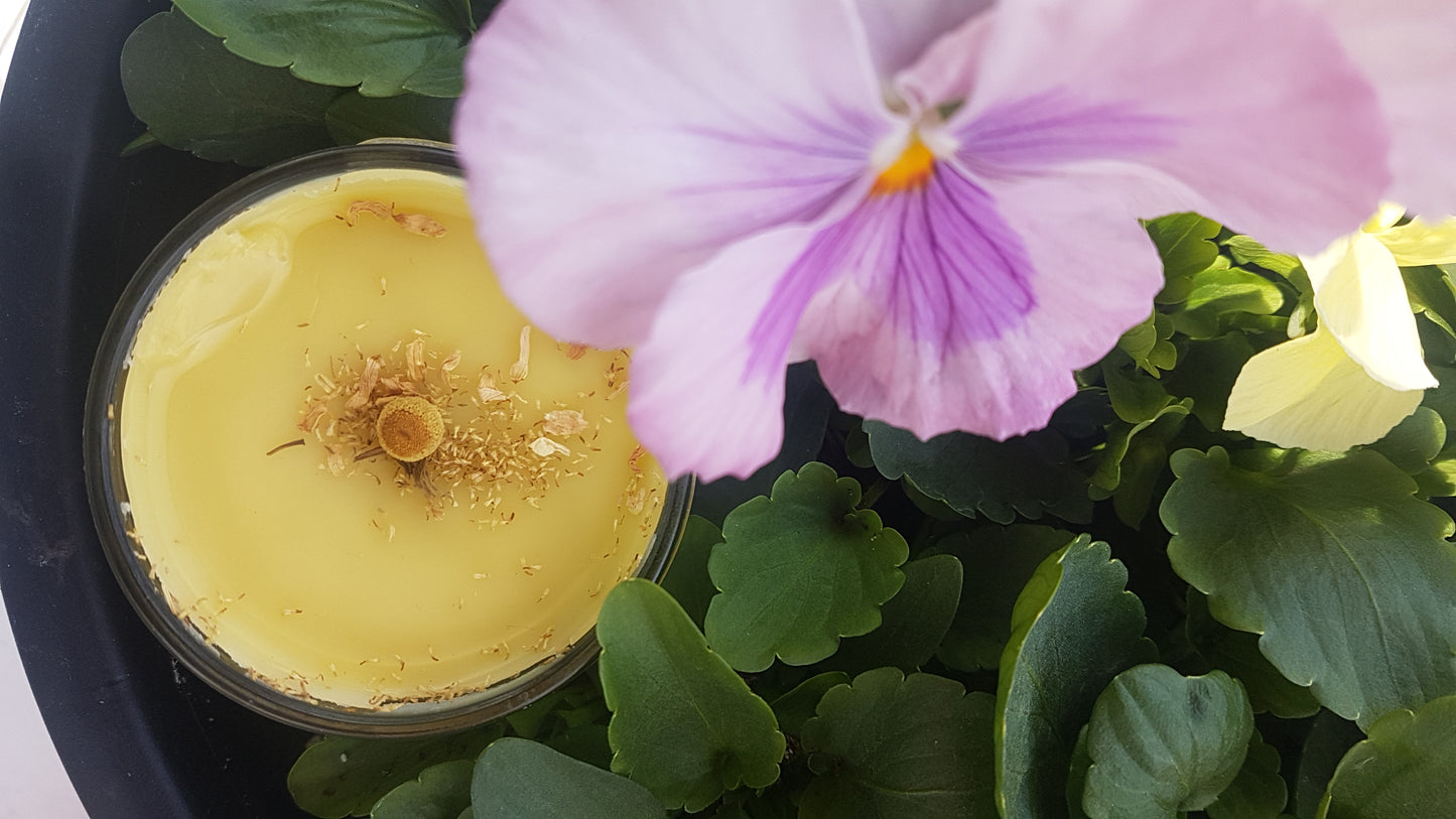 Chamomile and Lemon Salve - 3 oz.