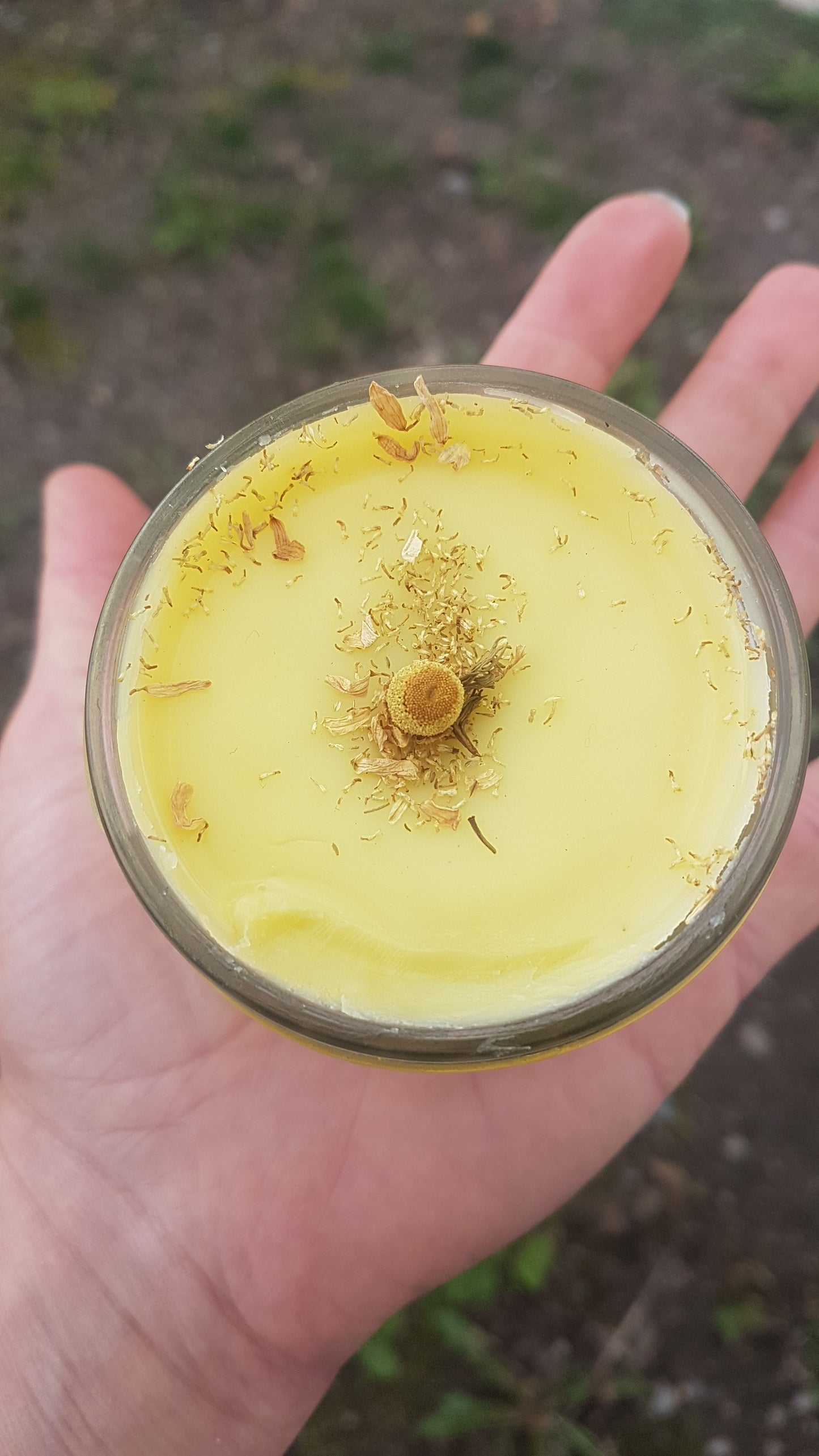 Chamomile and Lemon Salve - 3 oz.