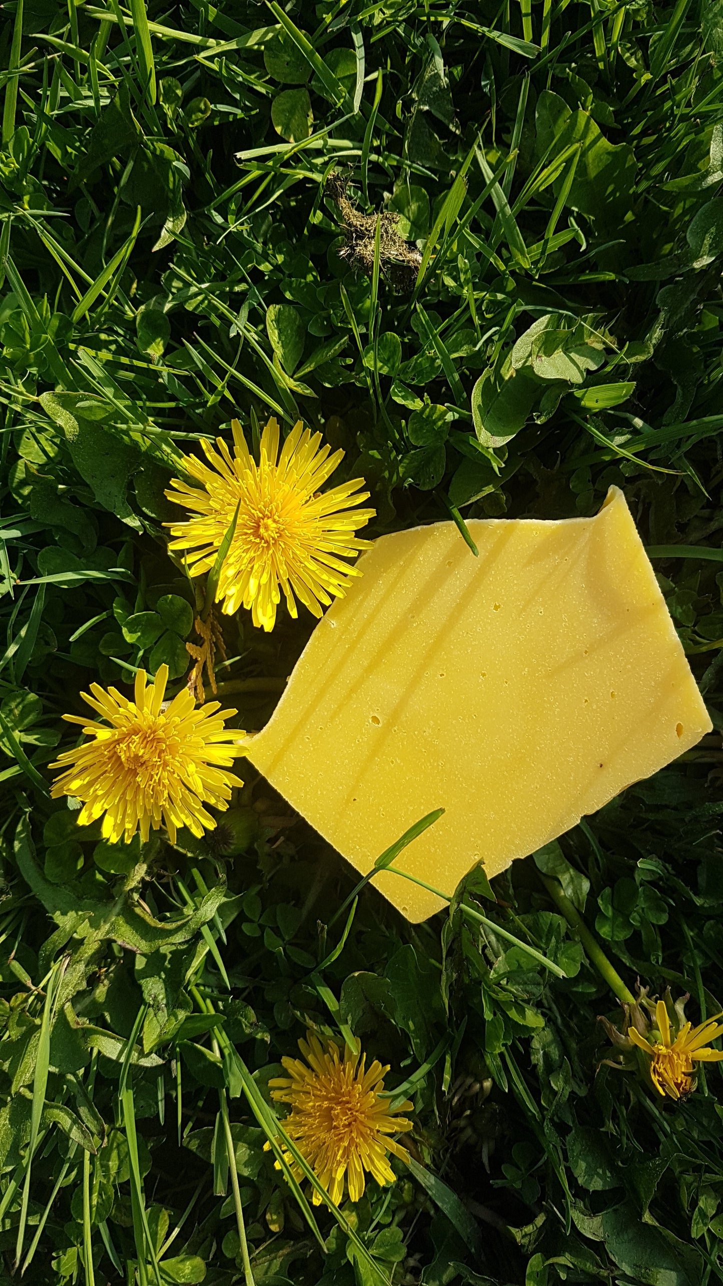 Dandelion Soap