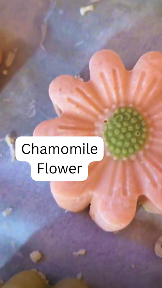 Summer Flowers - Chamomile