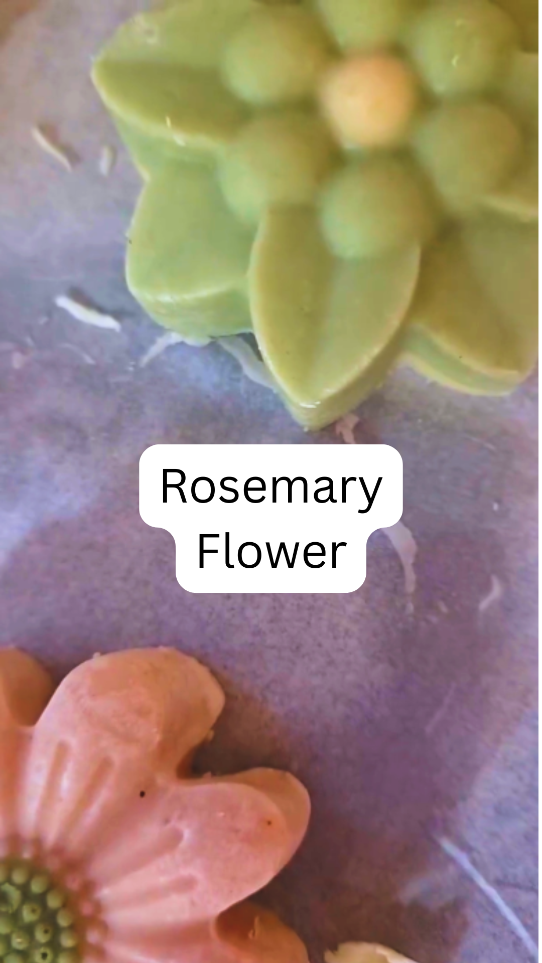 Summer Flowers - Rosemary